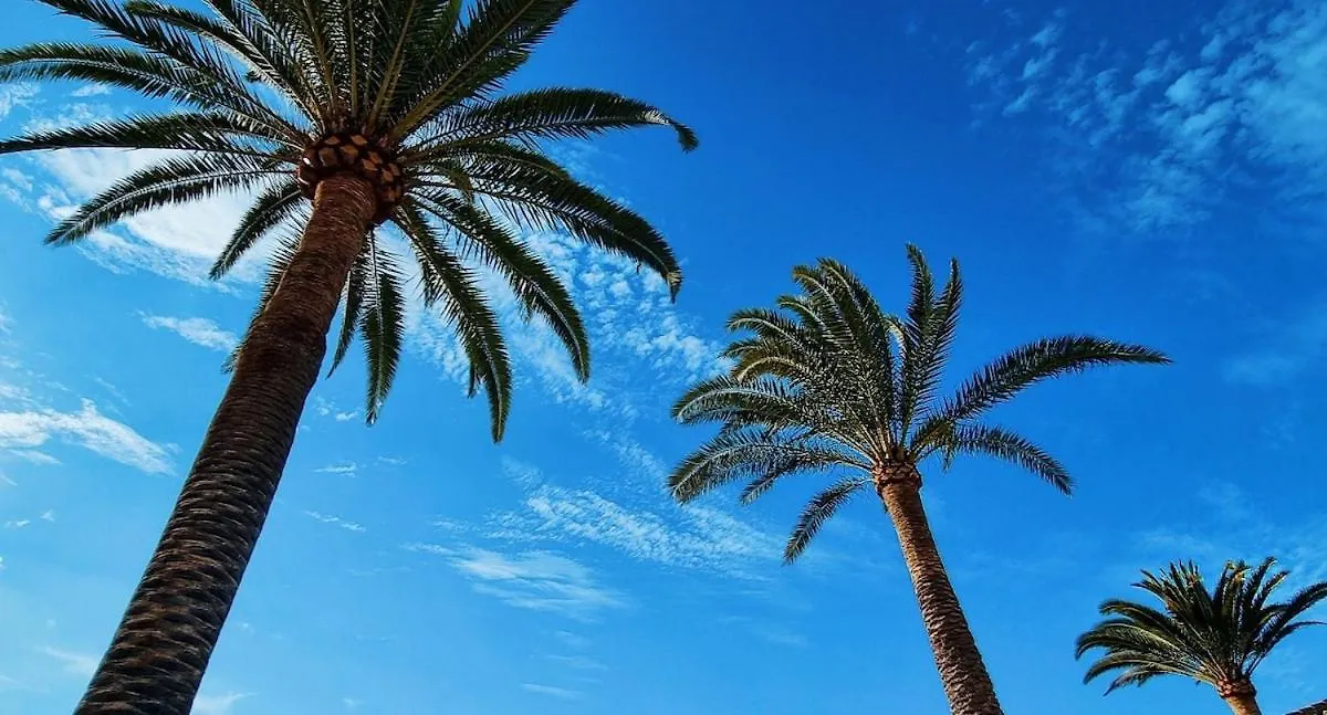 Maresia Village لوس رياليخوس إسبانيا