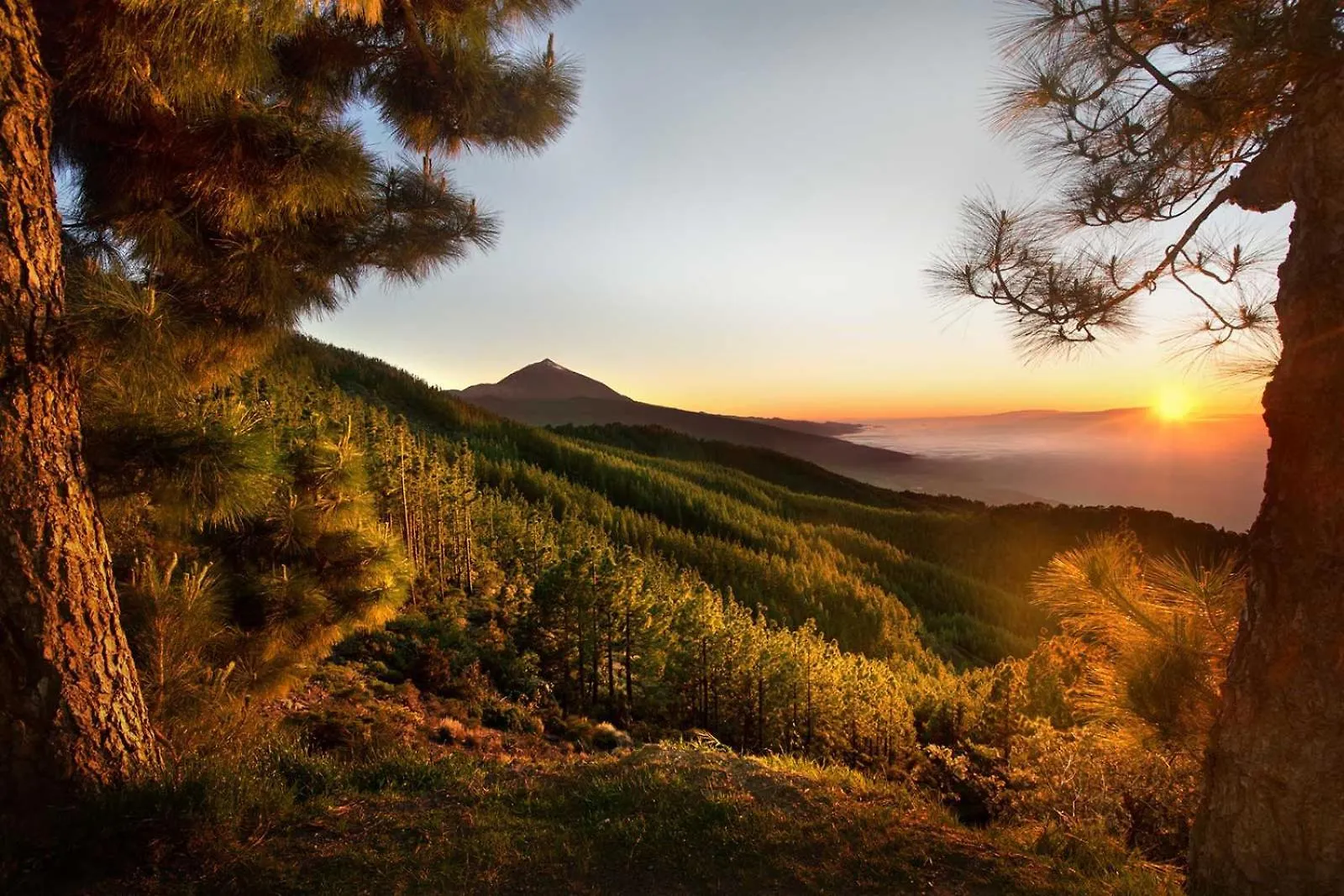 Maresia Village لوس رياليخوس 0*,